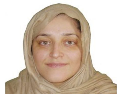 NECDO Founder & Chairperson Jamila Afghani’s Bio in Brief