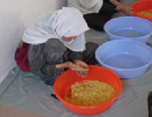 Afghan Women Employment Project (AWEP)