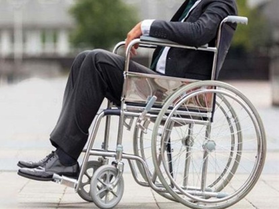 Survey Report on Situation of People with Disabilities in Government Institutions